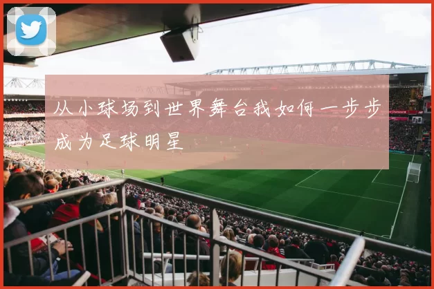 从小球场到世界舞台我如何一步步成为足球明星