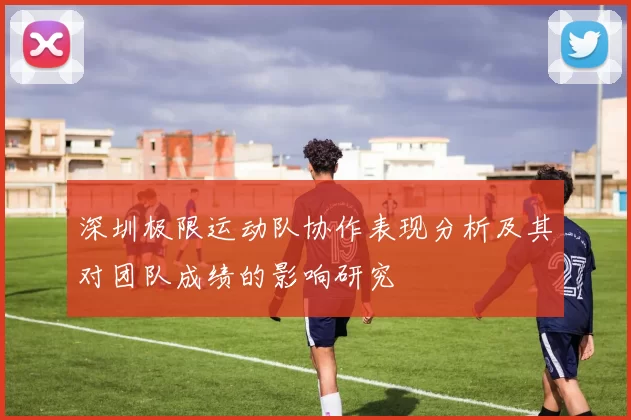 深圳极限运动队协作表现分析及其对团队成绩的影响研究