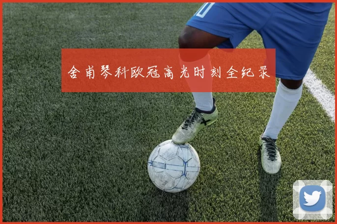 舍甫琴科欧冠高光时刻全纪录
