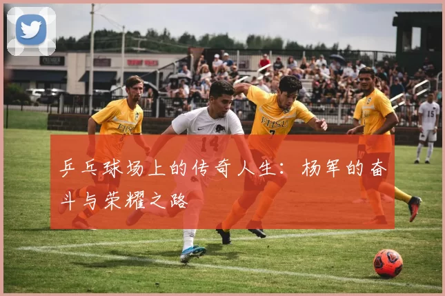 乒乓球场上的传奇人生：杨军的奋斗与荣耀之路