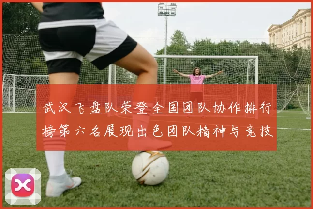 武汉飞盘队荣登全国团队协作排行榜第六名展现出色团队精神与竞技实力