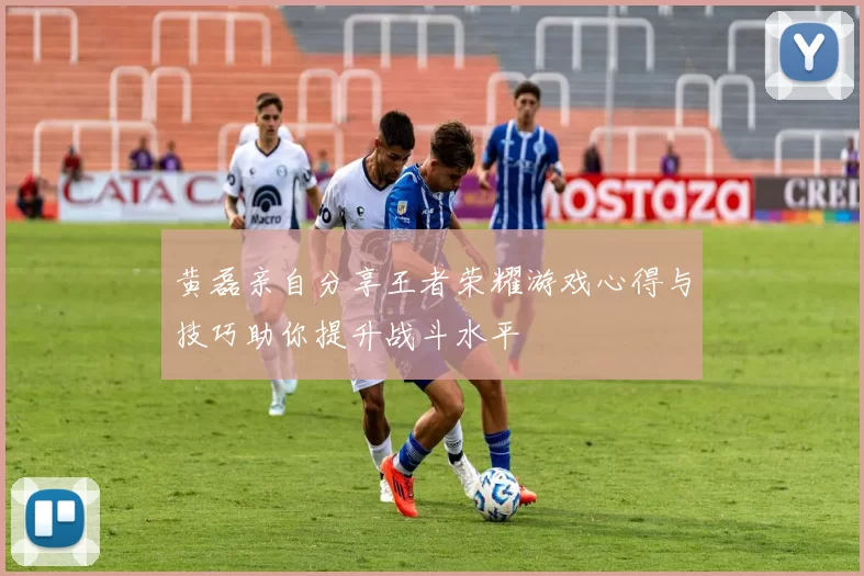 黄磊亲自分享王者荣耀游戏心得与技巧助你提升战斗水平