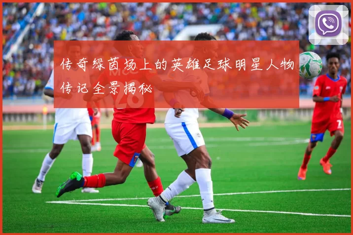 传奇绿茵场上的英雄足球明星人物传记全景揭秘