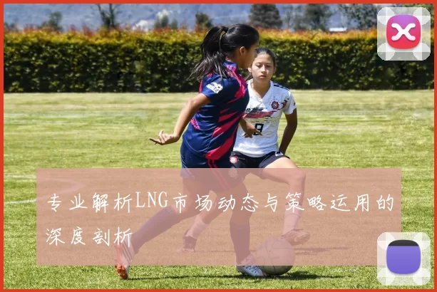 专业解析LNG市场动态与策略运用的深度剖析