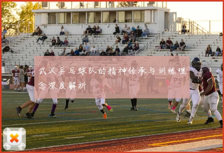 武汉乒乓球队的精神传承与训练理念深度解析