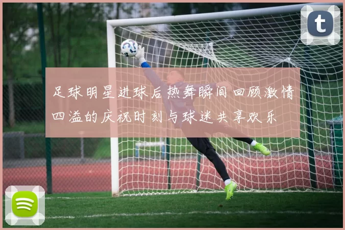 足球明星进球后热舞瞬间回顾激情四溢的庆祝时刻与球迷共享欢乐