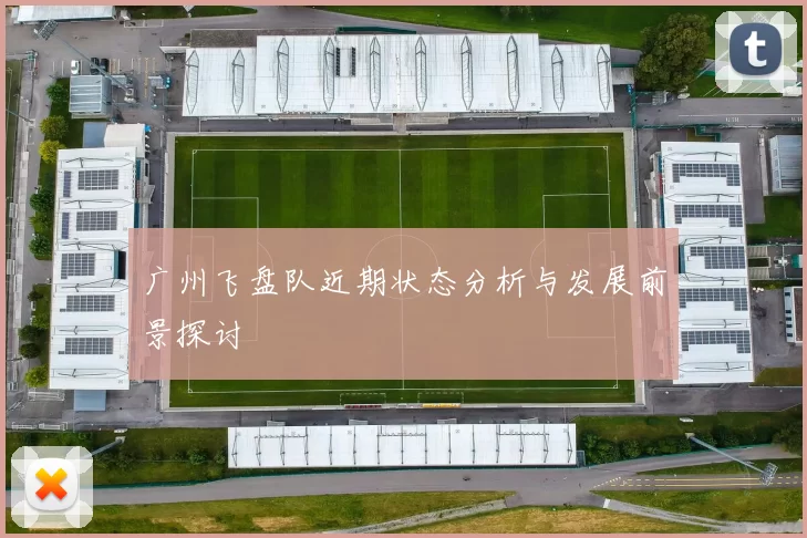 广州飞盘队近期状态分析与发展前景探讨