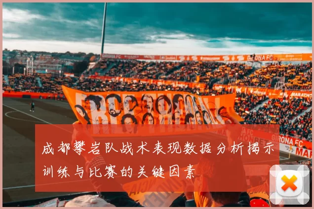成都攀岩队战术表现数据分析揭示训练与比赛的关键因素