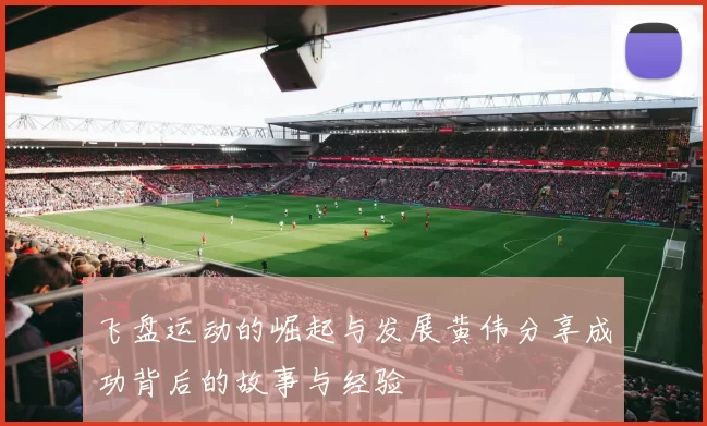 飞盘运动的崛起与发展黄伟分享成功背后的故事与经验