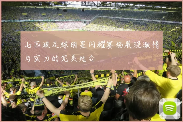 七匹狼足球明星闪耀赛场展现激情与实力的完美结合