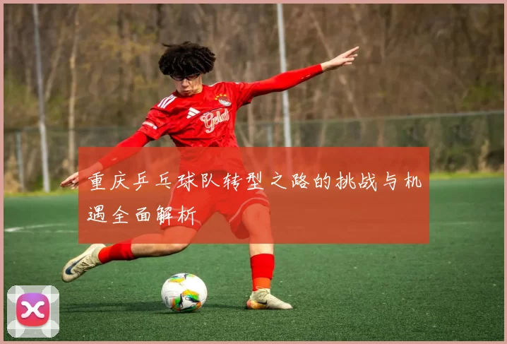 重庆乒乓球队转型之路的挑战与机遇全面解析