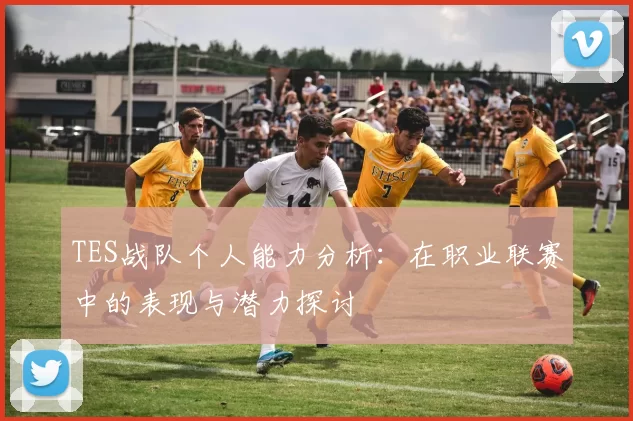 TES战队个人能力分析：在职业联赛中的表现与潜力探讨