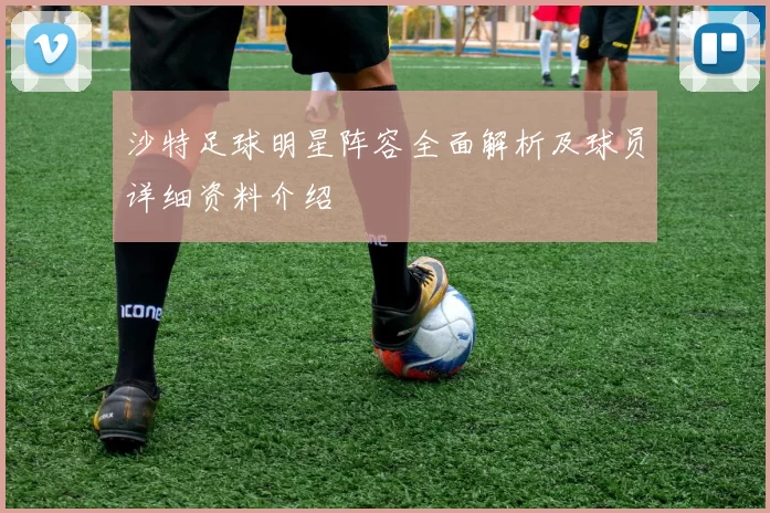 沙特足球明星阵容全面解析及球员详细资料介绍