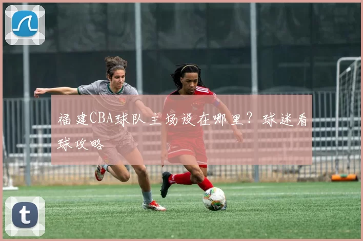 福建CBA球队主场设在哪里？球迷看球攻略