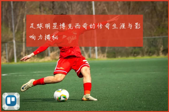 足球明星博克西奇的传奇生涯与影响力揭秘