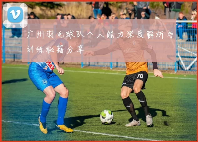 广州羽毛球队个人能力深度解析与训练秘籍分享