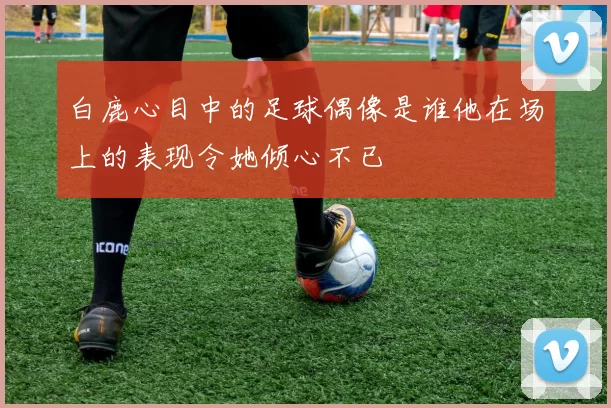 白鹿心目中的足球偶像是谁他在场上的表现令她倾心不已
