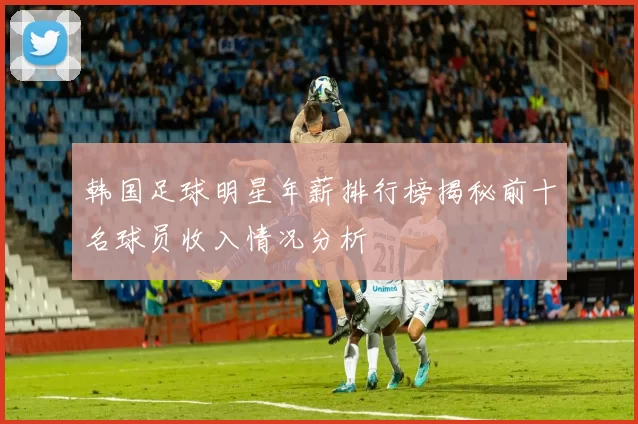 韩国足球明星年薪排行榜揭秘前十名球员收入情况分析