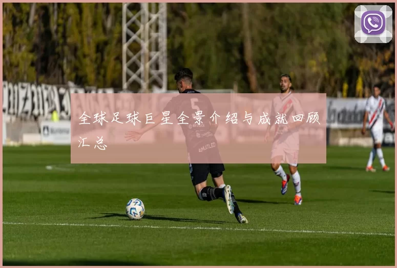 全球足球巨星全景介绍与成就回顾汇总