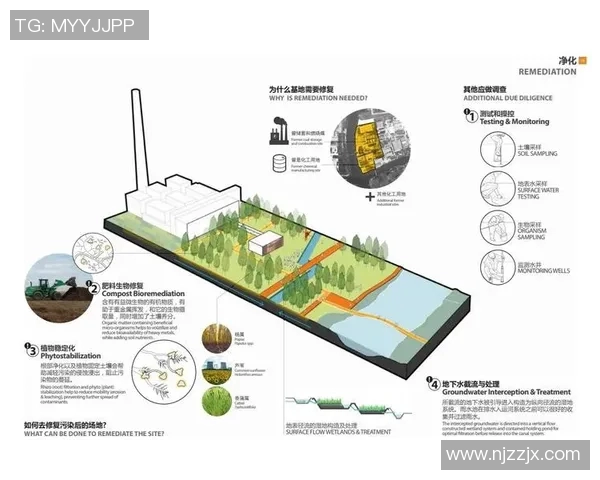 创新思维与视觉传达的完美融合：探索广告设计的未来趋势与实践挑战